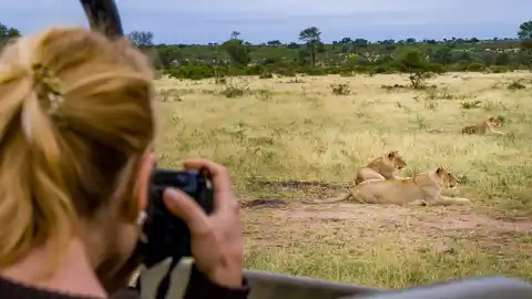 Private Game Reserve - © www.theguys.co.za