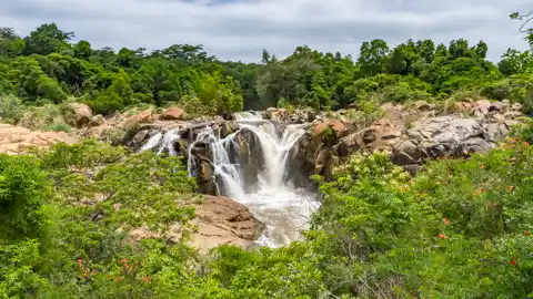 Lowveld Botanical Gardens - © www.theguys.co.za