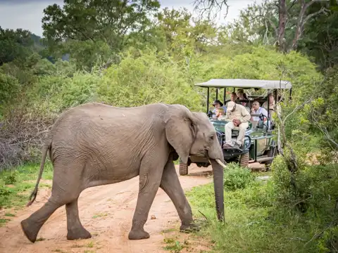 Kruger National Park - © www.theguys.co.za